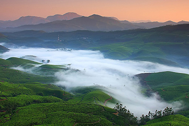 Kochi – Munnar – Thekkady