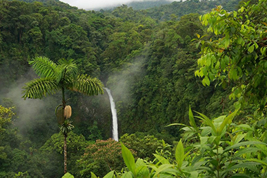 Kochi – Munnar – Thekkady – Alleppey - Kovalam – Kanyakumari